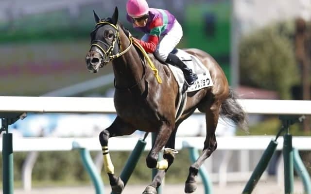 【ローズS予想】人気薄の馬の好走に期待！ 重賞初挑戦の狙い目な一頭とは…