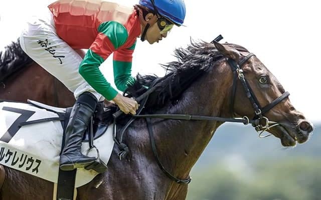 【次走】マイネルケレリウスはサウジアラビアRCへ 6月東京の新馬戦を勝利