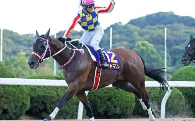 【浦和・オーバルスプリント出走予定馬】JRAシャマル、地元ティーズダンクら