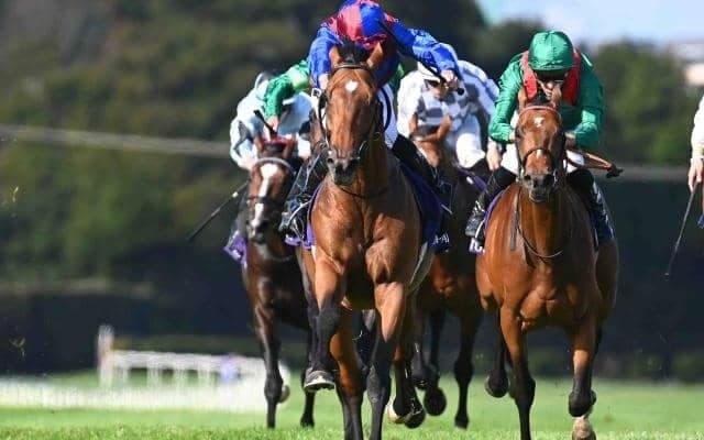 【凱旋門賞オッズ】バーイード回避でルクセンブルクが1番人気に ドウデュースは人気後退