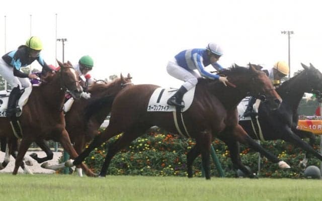 【新馬/中京5R】ディープインパクト最終世代 オープンファイアが圧巻の走りで快勝