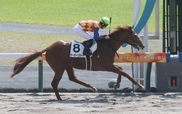 【新馬/中京4R】パイロ産駒 テーオーリカードがデビューV