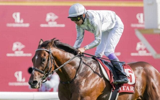 【武豊日記】凱旋門賞につなげたいですね