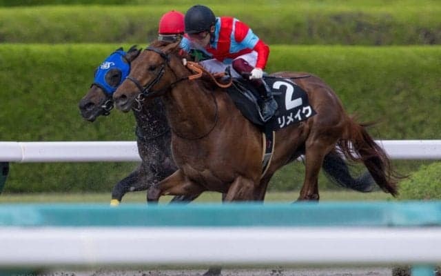 【オーバルスプリント】JRA出走予定馬