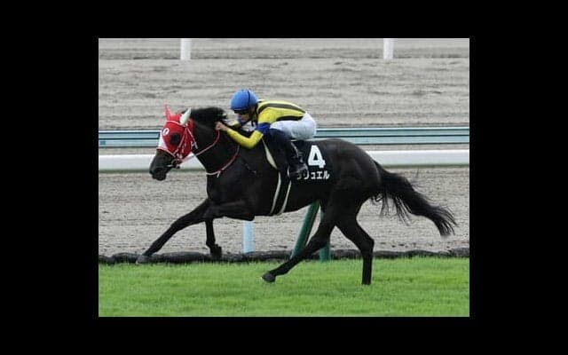 ローズＳはコース適正が高いディープインパクト産駒の良血馬、末脚が武器のオルフェーヴル産駒の２頭に期待