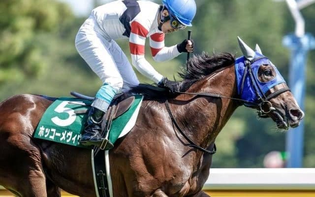 【阪神ジャンプS枠順確定】ホッコーメヴィウスは5枠8番、ゲインスプレマシーは1枠1番