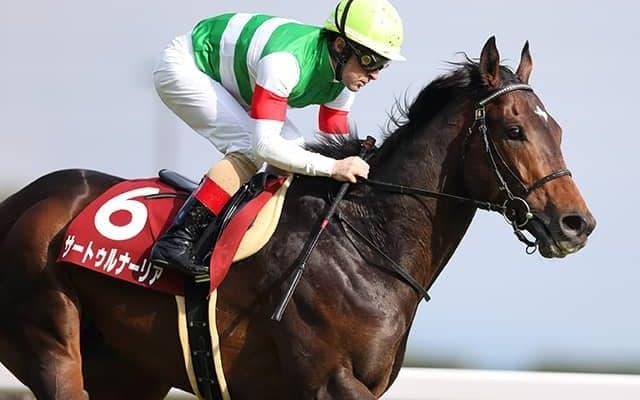 日米オークスを制した名牝の”最後の仔”が入厩 兄にGI馬3頭