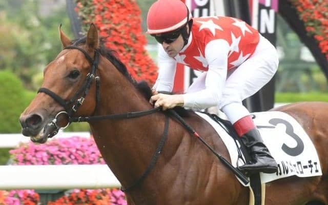 『未完の大器』の父が送り出す期待の2歳馬が野路菊Sで復帰予定