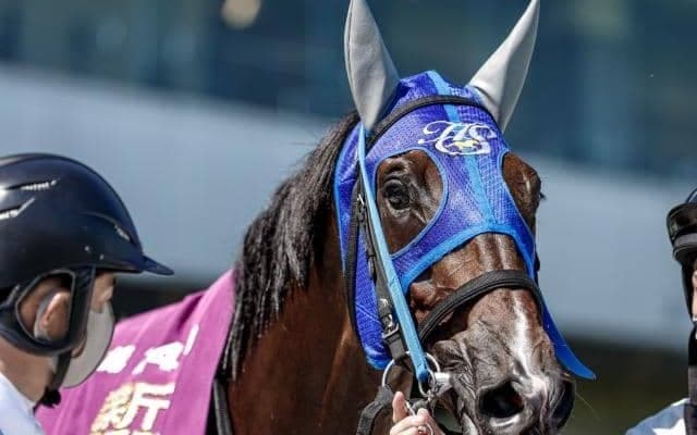 【今日の注目ポイント】3日間開催初日　中京で阪神ジャンプS