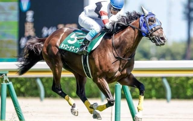 【阪神ジャンプS予想】舞台は中京競馬場3300mコース　先行力は不可欠な一戦