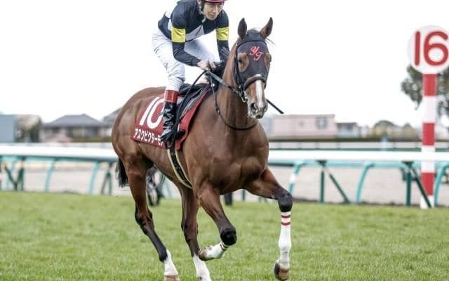 【セントライト記念枠順確定】アスクビクターモアは5枠7番、オニャンコポンは5枠6番