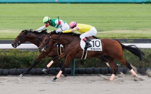 【中山4R新馬戦結果】キンシャサノキセキ産駒イルディヴィーノが逃げ切りV