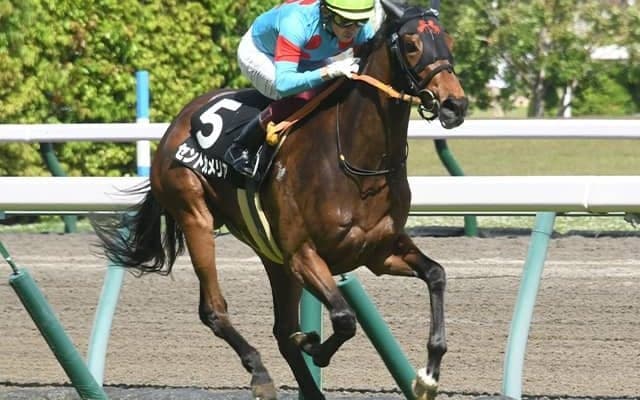 【ローズS予想】今年も大波乱必至!? 前走好走の「あの人気馬候補」も再現性に不安