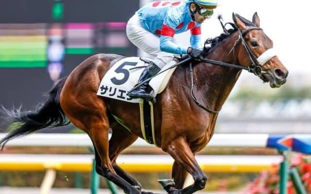 【今日の注目ポイント】中京で秋華賞TR・ローズS
