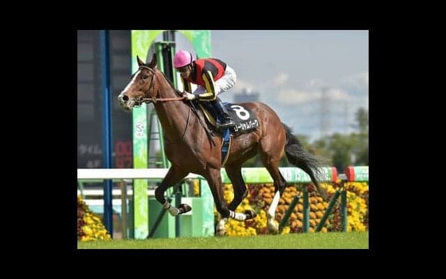 セントライト記念、穴党記者が期待するのは優位な「クラシック組」ではない伏兵２頭の大激走