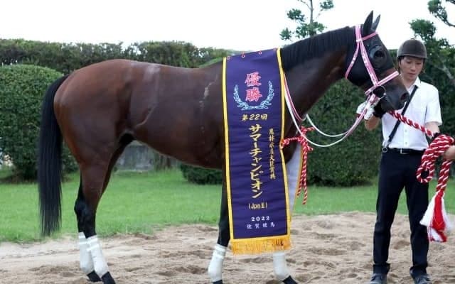 【浦和・オーバルスプリント枠順確定】シャマルは8枠11番、ティーズダンクは5枠5番