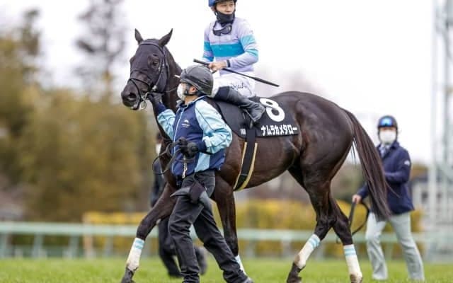 9月18日の競走中止、競走除外、疾病の一覧 メイショウベニバナ熱射病など/中山・中京