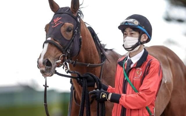 【セントライト記念予想】ごまかしの利かない中山2200mコース　世代限定の馬齢重量戦