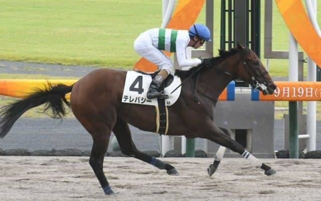 【中京4R新馬戦結果】ドレフォン産駒の牝馬テレパシーが抜け出してデビューV