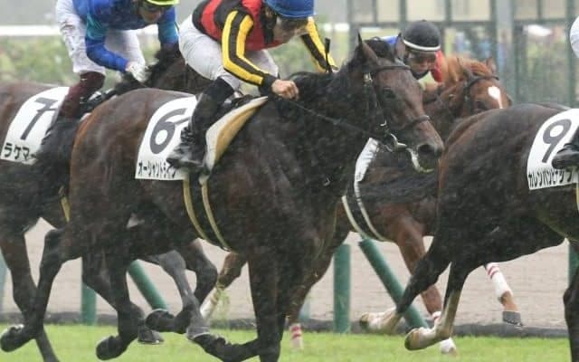 【中京5R新馬戦結果】12番人気オーシャントライブがゴール寸前で差し切って波乱