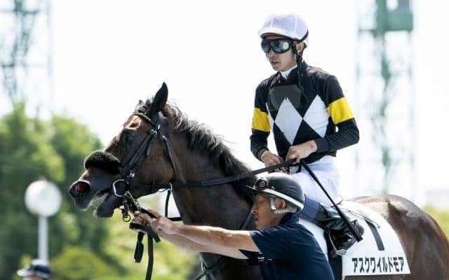 【神戸新聞杯】アスクワイルドモア、ジャスティンパレスらが登録