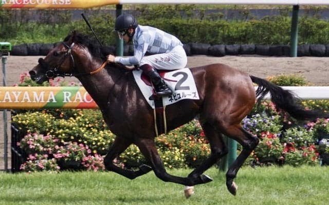 【新馬/中山6R】良血ネビュルーズが3馬身差圧勝