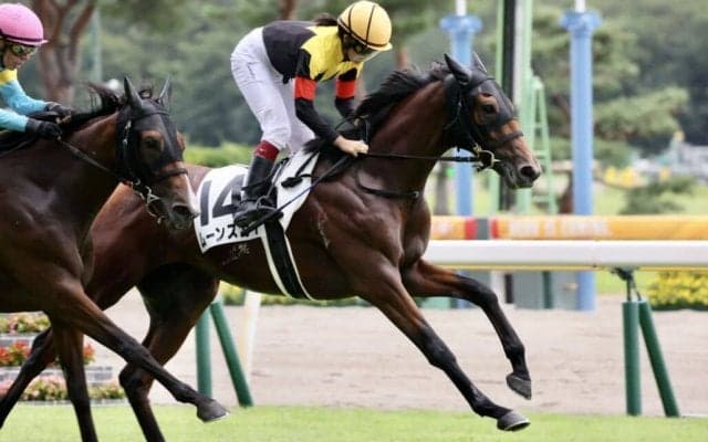 【新馬/新潟5R】今村聖奈 初の新馬勝ち！ムーンスカイで抜け出す