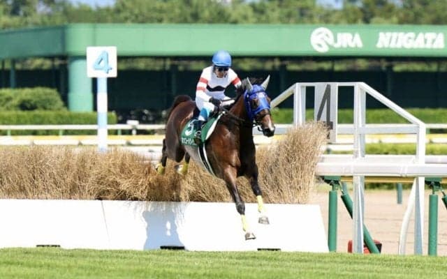 【新潟ジャンプS】ホッコーメヴィウスが逃げ切り！人馬ともに重賞初V