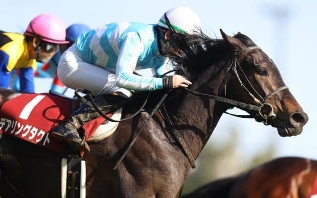 【オールカマー見どころ】デアリングタクト、ヴェルトライゼンデら好メンバーが激突