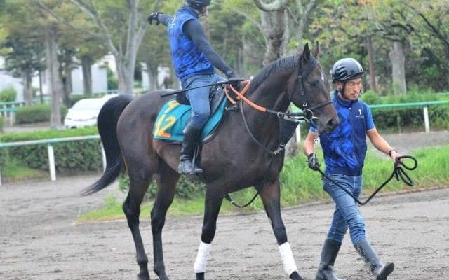 祖母は秋華賞馬ブラックエンブレム 良血馬ポーラライツがデビュー/関東馬メイクデビュー情報