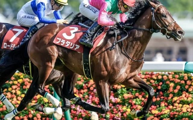 【AI予想・神戸新聞杯】遅れてきた大物がついに開花!? 人工知能が推奨「伸びしろ十分」な本命候補