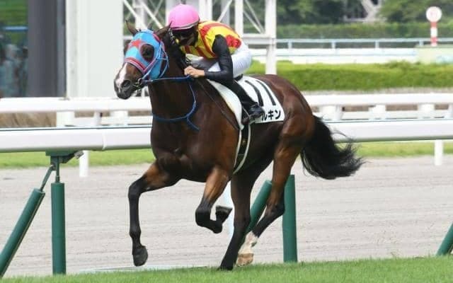 中山芝1200mと相性のいいダイワメジャー 今週末のカンナSに注目