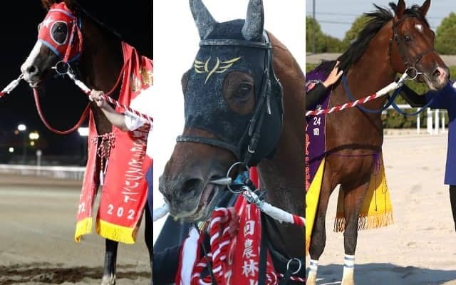 中央、地方の強豪馬が大井ダ1200mで激突！ 東京盃(JpnII)選定馬の一覧