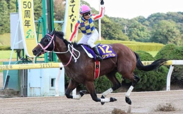 【オーバルスプリント】シャマルは8枠11番へ