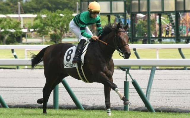 派手な勝ちっぷりを見せたハーツコンチェルト 後半1000mのタイムからわかる非凡な能力