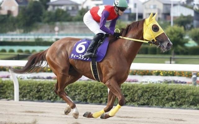 【浦和・オーバルスプリント注目馬】シャマルとティーズダンクが再戦、3歳馬リメイクも加わり激戦必至
