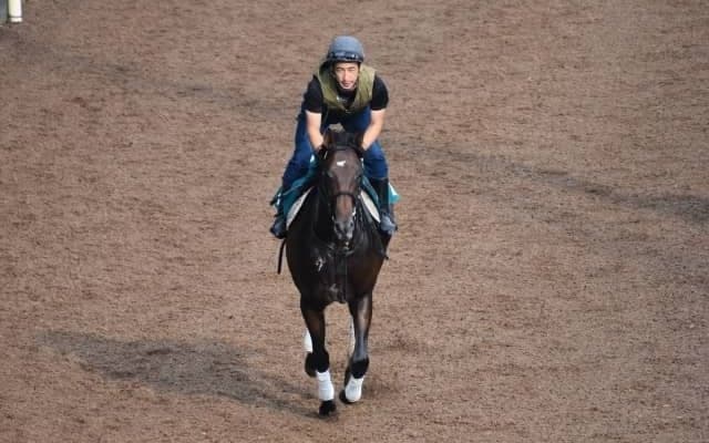 トラヴォルジェンテなど、先週のゲート試験/栗東トレセンニュース