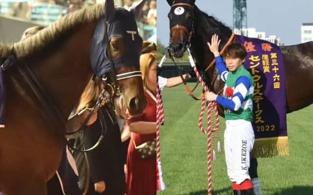 【スプリンターズS】特別登録馬のレーティングが発表 シュネルマイスターが119ポンド獲得で第1位、上位5頭が優先出走対象に
