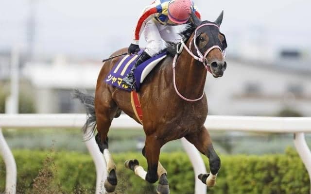 【浦和・オーバルスプリント結果】シャマルが人気に応えて重賞連勝