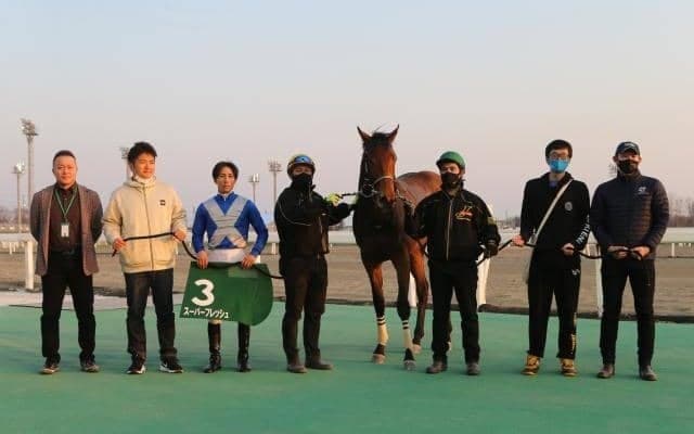 5頭の無敗馬が共演 スターホースへの登竜門/大井・ゴールドジュニア注目馬