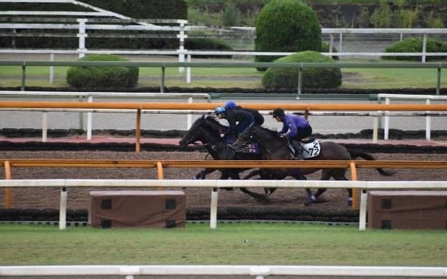 ポタジェ、毎日王冠2週前追い切り速報/栗東トレセンニュース