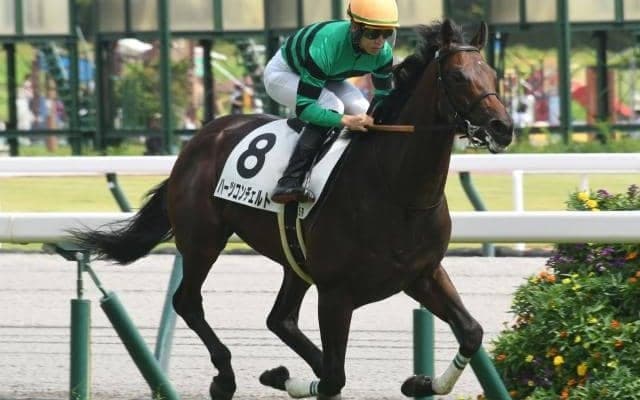 新馬戦で衝撃の8馬身差V 大物候補ハーツコンチェルトは東スポ杯2歳Sへ