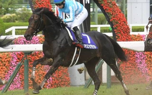 【オールカマー出走馬・騎手確定】デアリングタクト＆松山弘平騎手、ソーヴァリアント＆川田将雅騎手など13頭