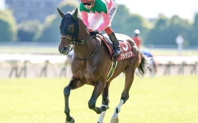 【神戸新聞杯出走馬・騎手確定】プラダリア＆池添謙一騎手、パラレルヴィジョン＆ルメール騎手など17頭