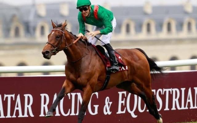 【凱旋門賞】仏ダービー馬ヴァデニが電撃参戦か「より馬場の良い方を選んだ」