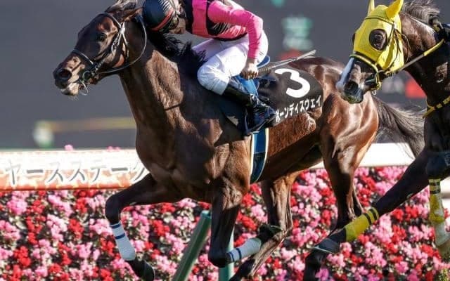 【次走】セントライト記念6着のボーンディスウェイは菊花賞へ
