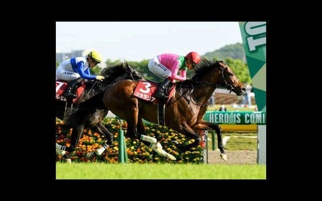 神戸新聞杯は血統的視点からも１番人気には逆らえない。対抗には母系が欧州クラシック血統の人気薄を狙う