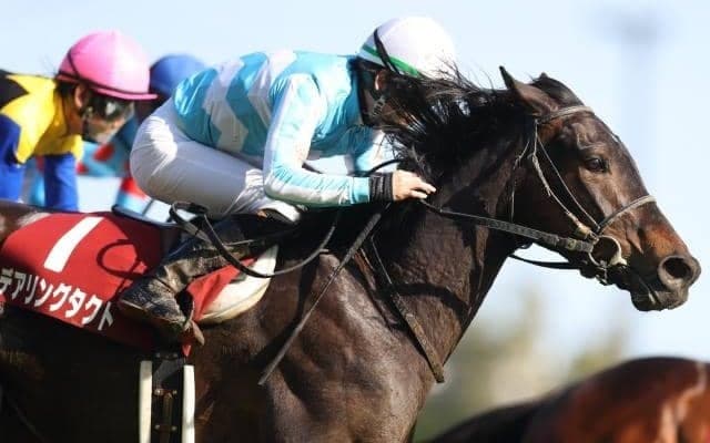 【オールカマー枠順確定】デアリングタクトは6枠8番、ソーヴァリアントは4枠4番