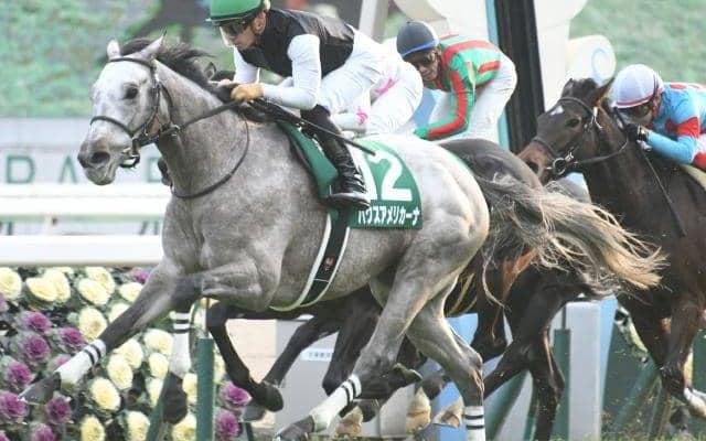 ホエールキャプチャの全弟パクスアメリカーナ引退、種牡馬に