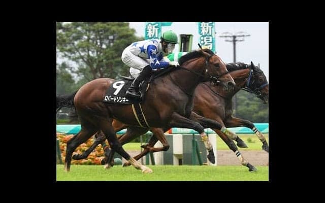 オールカマーはキレ味よりも長く脚を使える馬。特殊な舞台が合う３頭に大駆けの予感